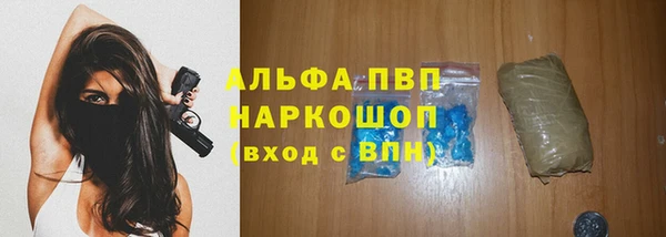 ешки Белокуриха