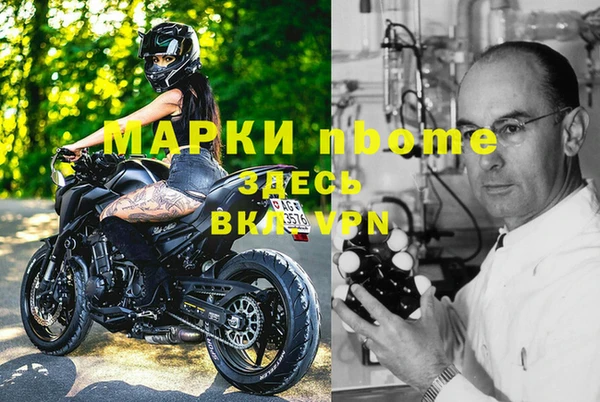 ешки Белокуриха