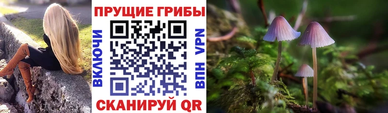 Галлюциногенные грибы Cubensis  наркотики  Окуловка 